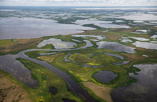 Aerial view of Arctic tundra with many ponds