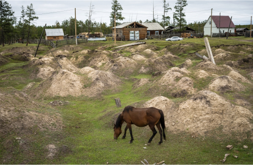 Horse standing in grassy field with piles of snow